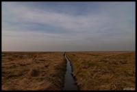 15-km-zum-Meer.jpg
