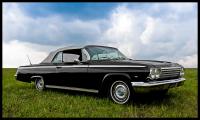 Black-Dutch-Impala.jpg