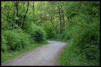 Der_Weg.jpg