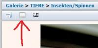 EXIF_an_aus.jpg