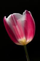 IMG_0208_small.jpg