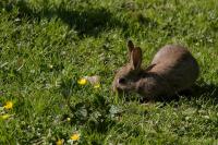 IMG_0224_small.jpg