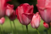 IMG_0241_small.jpg