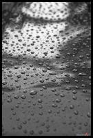 Raindrops.jpg