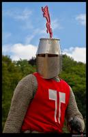 Roter_Loewe.jpg