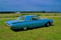 Thunderbird-in-Oel.jpg