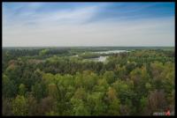 Wald_und_Wasser.jpg