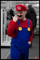 Wo-ist-Luigi.jpg