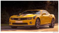 bumblebee.jpg