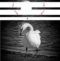 quick3.jpg