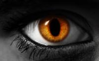 Cateye_FCMK.jpg