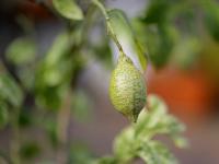 5DMKIII-Test.jpg
