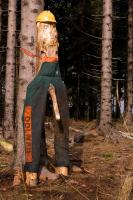 20081028-Holzmichel-001.jpg