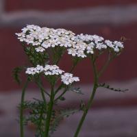 Test200-500-005.jpg