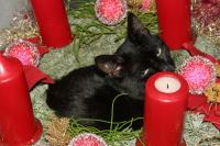 000foto_058.jpg