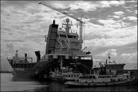 Holland_2010_-_090.jpg