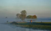 Nebel-1.jpg