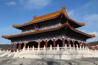 comp_IMG_09751.jpg