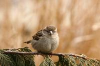 comp_IMG_20641.jpg