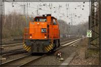 comp_IMG_60255.jpg