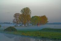 nebel2.jpg
