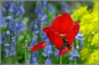 Schrebergarten_08_153_compp.jpg