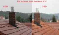 30-40D_50mm_2_50000.jpg