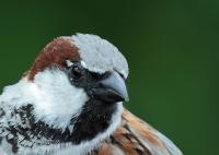 IMG_2670.jpg