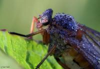 IMG_3352_galerie.jpg