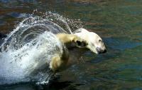 splash1.jpg