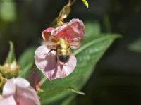 A1-PICT2783.jpg