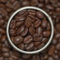 Kaffeebohnen.jpg