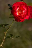 2010-09-23-101728.jpg