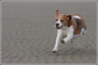 IMG_3058.jpg