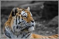 IMG_3584.jpg
