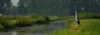 DSC02297_pano_k.jpg