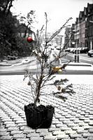 Frohe_Weihnachten.jpg