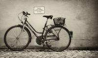 Fahrrad_II_web.jpg