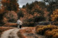 Herbst_web.jpg