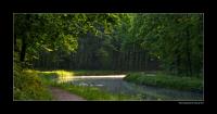 Morning_Light.jpg