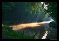 Morning_Light2.jpg