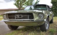 Mustang_web.jpg