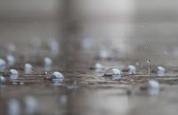 Raindance_web.jpg
