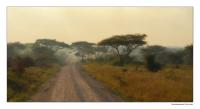 Serengeti_.jpg