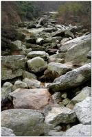 Dateiname=_Flussbett_trocken.jpg
Dateigröße=291KB
Abmessungen: 687x1024
hinzugefügt am: 18. Mai 2008 _Flussbett_trocken.jpg