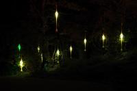 DSC_8955a.jpg