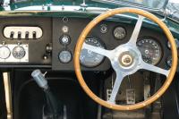 Jaguar-2.jpg