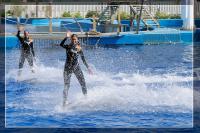 Dateiname=watershow.jpg
Dateigröße=252KB
Abmessungen: 800x533
hinzugefügt am: 26. September 2008 watershow.jpg