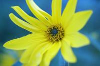 DSC01188.JPG