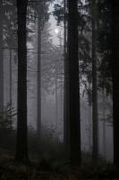 DSC00786.jpg